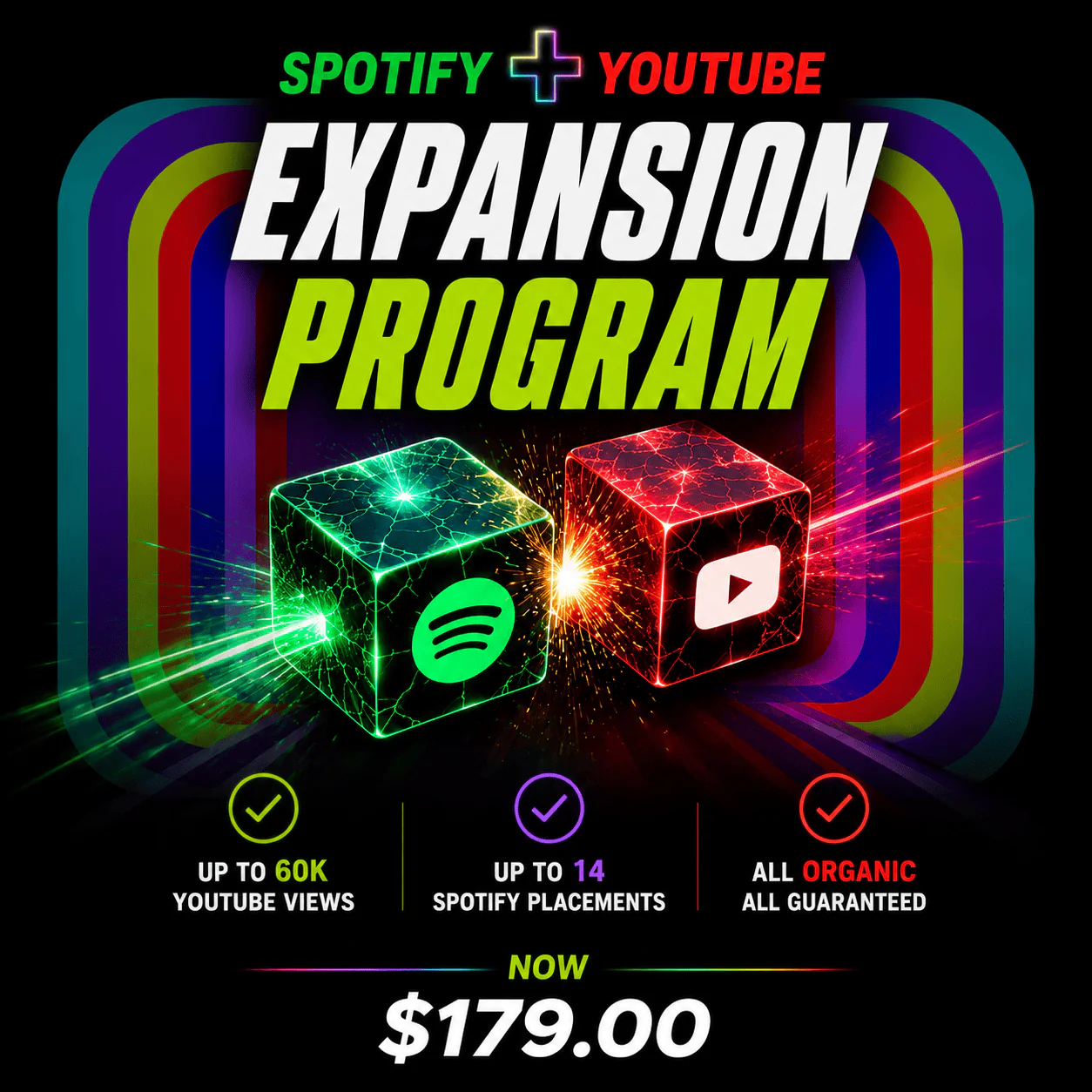 1 MONTH SPOTIFY AND YOUTUBE PROMO