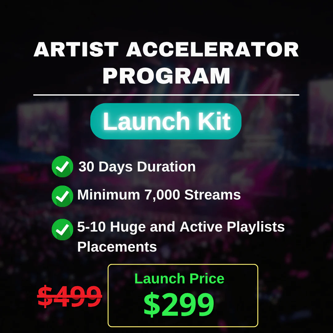 Artist Accelerator Program - Organic - Image 3