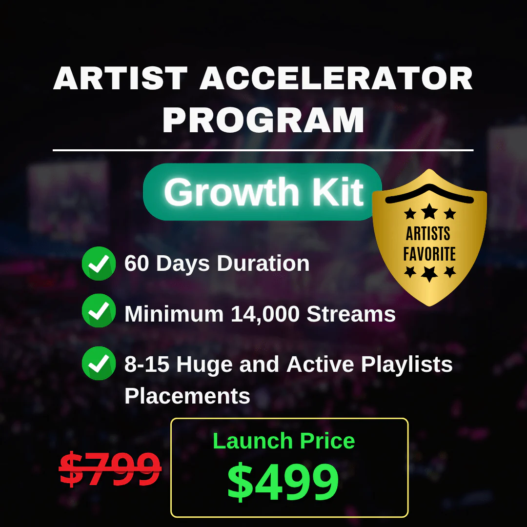 Artist Accelerator Program - Organic - Image 4
