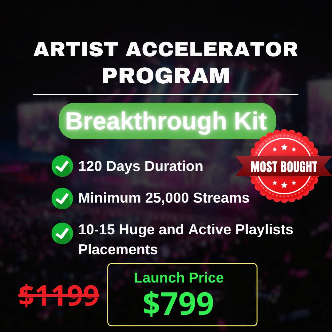 Artist Accelerator Program - Organic - Image 5